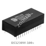 DS1230W-100+