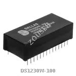 DS1230W-100