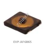 EVP-AFGB65