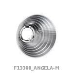 F13380_ANGELA-M