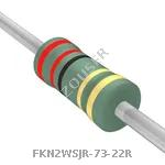 FKN2WSJR-73-22R