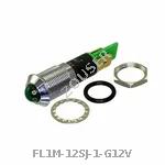 FL1M-12SJ-1-G12V