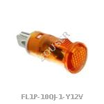 FL1P-10QJ-1-Y12V