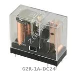 G2R-1A-DC24