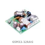 GSM11-12AAG