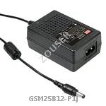 GSM25B12-P1J