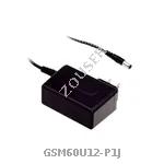 GSM60U12-P1J