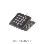 GSRG160203