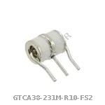 GTCA38-231M-R10-FS2