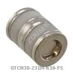 GTCN38-231M-R10-FS