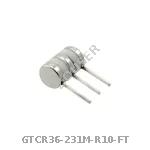 GTCR36-231M-R10-FT