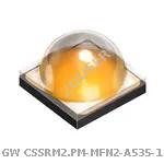 GW CSSRM2.PM-MFN2-A535-1