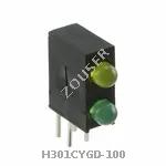 H301CYGD-100