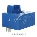 HASS 600-S