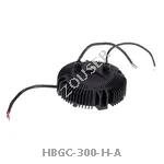HBGC-300-H-A