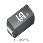 HS1M M2G