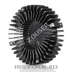 HSSLS-CALBL-013