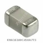 KNA16100C45UA7TS