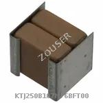 KTJ250B107M76BFT00