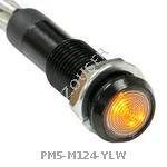 PM5-M124-YLW