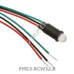 PM53-BCW12.0