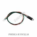 PM5R3-RYW12.0