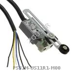 PS31M-US11R1-M00