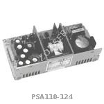 PSA110-124