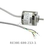 RE30E-600-213-1