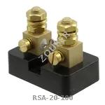 RSA-20-100