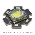 SSR-90-WCLS-R11-M2450