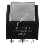 UB15SKG035F-JB