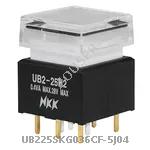 UB225SKG036CF-5J04