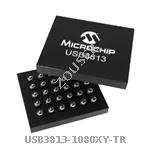 USB3813-1080XY-TR