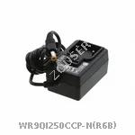 WR9QI250CCP-N(R6B)