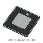 ZM7304G-65501-B1